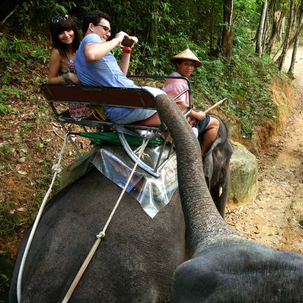 Phuket Elephant Treks